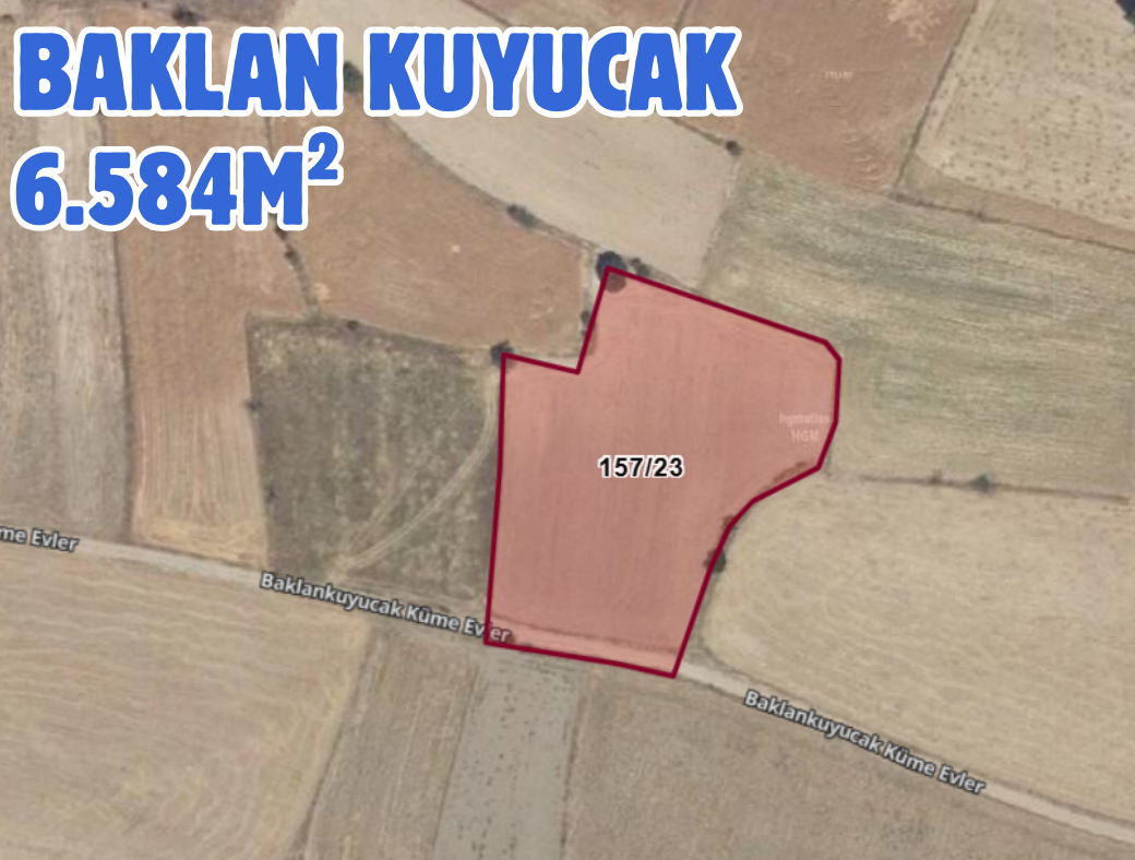 Fotoğraf